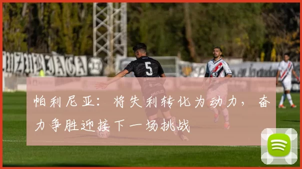 帕利尼亚：将失利转化为动力，奋力争胜迎接下一场挑战